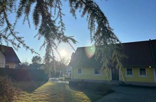 Haus mieten in 8141 Unterpremstätten, Altbau trifft Moderne! Zauberhaft saniertes „Landhaus“ (2-Zimmer) in perfekter Premstättner Lage zu vermieten!