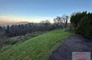 Wohnung kaufen in 4400 Steyr, Perfekte Single- oder Pärchenwohnung mit tollem Ausblick!