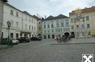 Wohnung mieten in 3500 Krems an der Donau, DACHGESCHOSS-TRAUMWOHNUNG IN TOPLAGE VON KREMS-STEIN IN UNIVERSITÄTSNÄHE