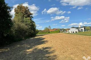 Grundstück zu kaufen in 8504 Preding, Sonnige Baugrundstücke in Wieselsdorf