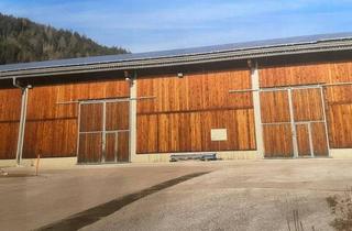 Gewerbeimmobilie mieten in 9312 Meiselding, Lagerhalle - Storagefläche in Kraig