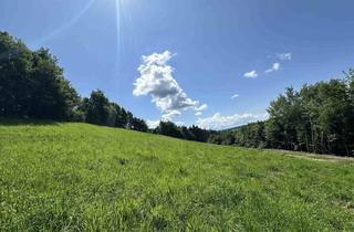 Grundstück zu kaufen in Am Kaiserberg, 8502 Lannach, Ideal für große und kleine Bauträger! Tolles Baugrundstück mit beeindruckendem Ausblick nahe des Grazer Stadtrands am Kaiserbergs in Lannach