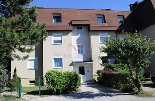 Wohnung mieten in 2542 Kottingbrunn, Helle Familienwohnung mit Balkon und PKW-Stellplatz!