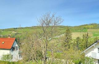 Villen zu kaufen in 3400 Klosterneuburg, TRAUMVILLA IN KLOSTERNEUBURG - LUXURIÖSES WOHNEN MIT POOL UND BLICK AUF DIE WEINBERGE.