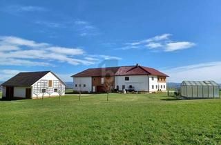 Haus kaufen in 4084 Steinzen, TOPZUSTAND IN IDYLLISCHER RUHELAGE!