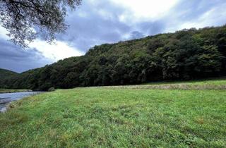 Gewerbeimmobilie kaufen in 2082 Merkersdorf, + Thayatal: 390 ha Hohe Jagd mit Mischwaldbestand +