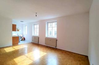 Wohnung mieten in 1080 Wien, 1080 Nähe Rathaus - Single-Apartment in Bestlage -nur 15 Minuten zu Fuß zur Innenstadt