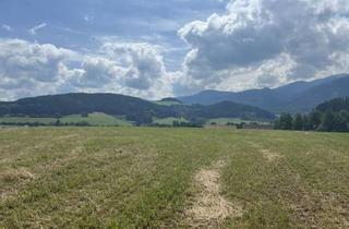 Grundstück zu kaufen in 8741 Weißkirchen in Steiermark, Acker - Grünland mit 2 ha in Weißkirchen i.d. Stmk