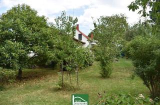 Haus kaufen in 7323 Ritzing, Ländliche Idylle im Burgenland: Charmantes Landhaus mit 4 Zimmern, 130 m², Garten, Terrasse, u.v.m.. - WOHNTRAUM