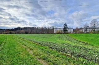 Gewerbeimmobilie kaufen in 4971 Aurolzmünster, landwirtschaftlicher Nutzgrund