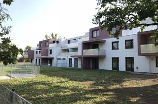 Wohnung mieten in 1210 Wien, Gemütliche Wohlfühloase mit Blick ins Grüne - 2 Zimmer Wohnung mit Terrasse!