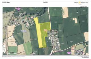 Immobilie kaufen in 9433 Sankt Andrä, Ca. 5,68 ha große Ackerfläche in St. Andrä im Lavanttal zum Verkauf