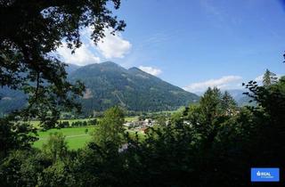 Gewerbeimmobilie kaufen in 9821 Obervellach, 15000m²- Wald, Wiese, Grund