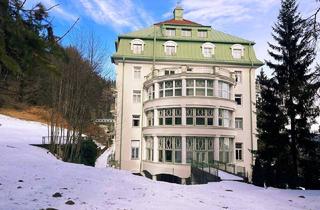 Loft kaufen in 2680 Semmering-Kurort, Loftartige Eigentumswohnung auf 1000 Meter Seehöhe