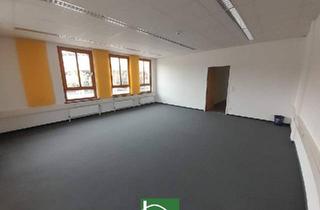 Büro zu mieten in 3100 Sankt Pölten, Großes Büro mit Wintergarten und Terrasse auf 2 Ebenen nahe Traisenpark! JETZT ANFRAGEN! - JETZT ZUSCHLAGEN