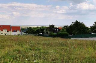 Grundstück zu kaufen in 7091 Breitenbrunn am Neusiedler See, BLICK AUF DEN NEUSIEDLERSEE - ERHÖHTE RUHELAGE