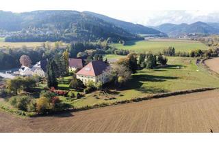 Lager kaufen in 9330 Althofen, Österreich/Kärnten:Historischer Gutshof / Herrenhaus / Mansion in Kärnten Österreich!