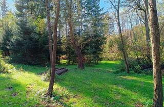 Haus kaufen in 9918 Strassen, Smarthaus mit A++ Bewertung im Herzen des Őrség Nationalparks mit eigenem Wald