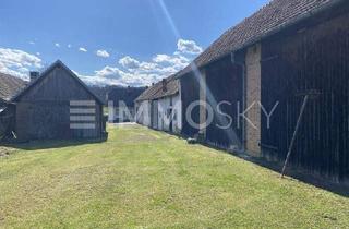 Bauernhäuser zu kaufen in 7540 Güssing, Südburgenland: Herrlicher Streckhof mit vielen Nebengebäuden!