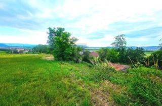 Grundstück zu kaufen in 2100 Stetten, WEINKELLER MIT GRÜNBLICK