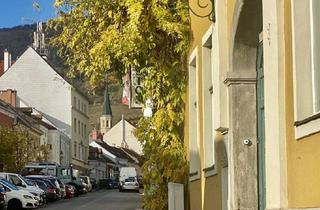 Haus kaufen in 2352 Gumpoldskirchen, ZENTRUM GUMPOLDSKIRCHEN /// HISTORISCHES BÜRGERHAUS MIT HERRLICHEM GARTEN