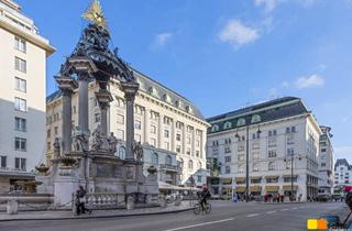 Wohnung kaufen in Hoher Markt, 1010 Wien, Im Herzen Wiens: Hoher Markt, Palais Principe