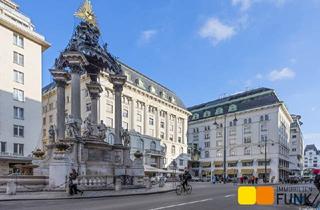 Wohnung kaufen in Hoher Markt, 1010 Wien, Im Herzen Wiens: Hoher Markt, Palais Principe