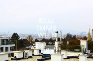 Maisonette mieten in 1030 Wien, 3.Belvedere/Prachtvolle DG Wohnung mit Blick auf Wien in einem alten Herrenhaus.