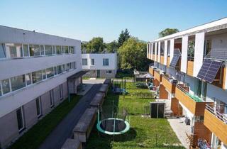 Wohnung mieten in Schulgasse, 3353 Seitenstetten, Traumhafte 2 Zimmerwohnung mit Balkon in Seitenstetten