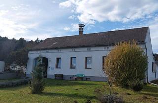 Bauernhäuser zu kaufen in 7551 Stegersbach, Bauernhaus für Genießer mit Geschäftssinn