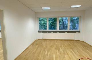 Büro zu mieten in Prinz-Eugen-Straße, 1040 Wien, UNBEFRISTET - Büro/ Studio beim Belvedere in Hofruhelage