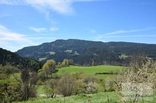 Haus kaufen in 8822 Noreia, RESERVIERT | Wunderschönes Feriendomizil | nahe Zirbitzkogel |absolute Ruhelage