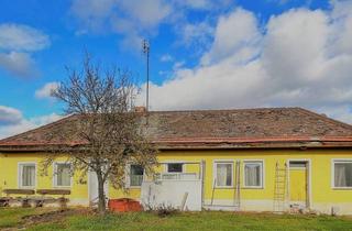 Einfamilienhaus kaufen in 2054 Kleinhaugsdorf, Großes Grundstück mit Einfamilienhaus und Lagerhalle