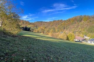 Grundstück zu kaufen in 3644 Goßam, Großes an Bauland grenzendes Grünland-Grundstück bei Emmersdorf!