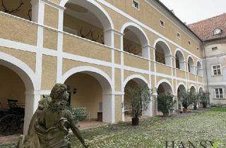 Wohnung kaufen in 2732 Willendorf, WOHNEN IM SCHLOSS mit idyllischem Parkblick, einem Pferdeparadies und traumhafter Umgebung