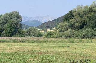 Grundstück zu kaufen in 2732 Willendorf, LANDWIRTSCHAFT mit erträgnisreichem Boden in ausgezeichneter Lage