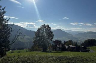 Grundstück zu kaufen in 4596 Zehetner, Traumhaftes Grundstück mit Hütte in Zehetner – inkl. Bauplan für Einfamilienhaus