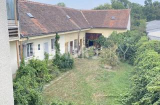 Bauernhäuser zu kaufen in 7501 Rotenturm an der Pinka, Südburgenland: Bauernhof mit Einliegerwohnung und Gartenidylle!