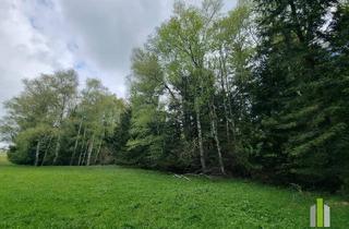 Gewerbeimmobilie kaufen in 5162 Obertrum am See, Landwirtschaftliches Grünland mit Waldfläche