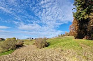 Gewerbeimmobilie kaufen in 8081 Heiligenkreuz am Waasen, Idyllische Landwirtschaft in Pirching am Traubenberg mit großem Potenzial