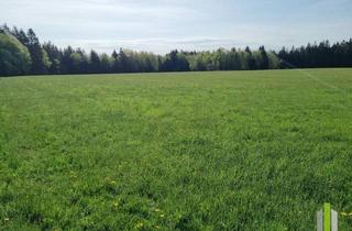 Immobilie kaufen in 5162 Obertrum am See, Landwirtschaftliches Grünland mit Waldfläche