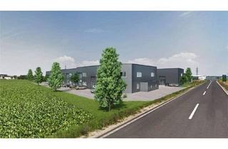 Gewerbeimmobilie kaufen in 4493 Wolfern, Gewerbehallen von 55 m² bis 500 m² und ein kleiner Garagenpark zu kaufen