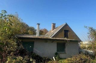 Einfamilienhaus kaufen in 2405 Bad Deutsch-Altenburg, Leistbares Einfamilienhaus mit Charme - Bad Deutsch Altenburg, Nähe Wien!