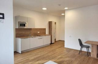 Wohnung mieten in 4770 Schärdingerau, Möbliertes 1-Zimmer-Apartment mit Loggia € 520,- inkl. BK, HK, Strom u. Wlan