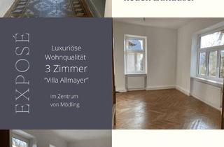 Wohnung kaufen in 2340 Mödling, Schöne, vollständig renovierte 3-Zimmer-Wohnung zum Kauf in Mödling