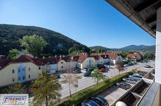 Wohnung mieten in 2560 Berndorf, 2 Zimmer Wohnung mit Loggia