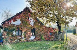 Haus kaufen in 2042 Ober-Steinabrunn, Die bunten Facetten des Wohnens erLEBEN - Wessen Farbe kommt hier zum Strahlen?