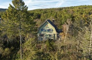 Villen zu kaufen in Blumentalgasse, 2721 Bad Fischau, Einzigartige Jahrhundertwende-Villa mit Privatpark und Wald | Blick in alle Himmelsrichtungen | Lichtdurchflutet