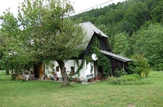 Haus mieten in 4562 Steinbach am Ziehberg, Altes, revitalisiertes Sacherl in Alleinlage auf großem Grund - zu Mieten