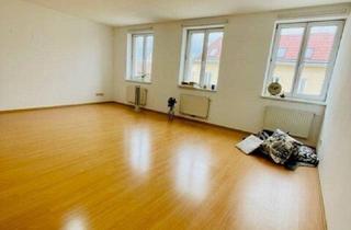 Loft mieten in Arbeitergasse 19, 1050 Wien, helle 1 Zimmerwohnung (großzügiges Loftzimmer) nächst Reinprechtsdorfer Straße und Einsiedlerpark!